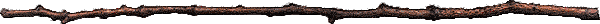 Astlinie